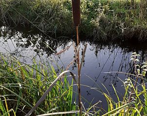 Guest house 671503 - Holiday property Groene hart - Vakantiehuis in Woerdense Verlaat