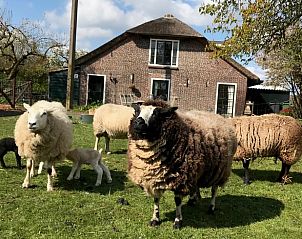 Guest house 671505 - Holiday property Groene hart - Vakantiehuisje in Woerdense Verlaat