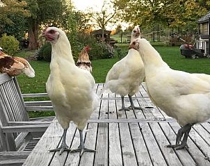 Guest house 671505 - Holiday property Groene hart - Vakantiehuisje in Woerdense Verlaat