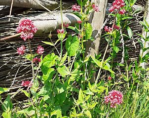 Guest house 671506 - Holiday property Groene hart - Vakantiehuis in Woerdense Verlaat