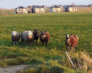 Guest house 671508 - Holiday property Groene hart - Huisje in Woerdense Verlaat