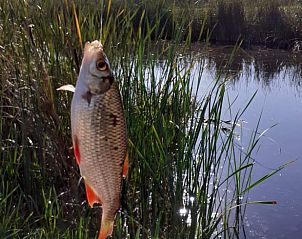 Guest house 671508 - Holiday property Groene hart - Huisje in Woerdense Verlaat