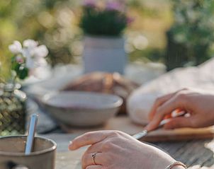 Unterkunft 672007 - Ferienhaus Groene hart - Vakantiehuis in Hazerswoude-Dorp