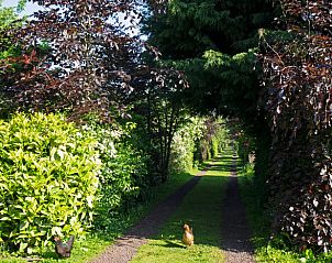 Unterkunft 672010 - Ferienhaus Groene hart - Vakantiehuis in Hazerswoude-Dorp
