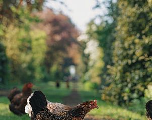 Unterkunft 672010 - Ferienhaus Groene hart - Vakantiehuis in Hazerswoude-Dorp
