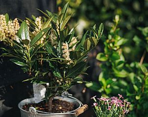 Unterkunft 672010 - Ferienhaus Groene hart - Vakantiehuis in Hazerswoude-Dorp