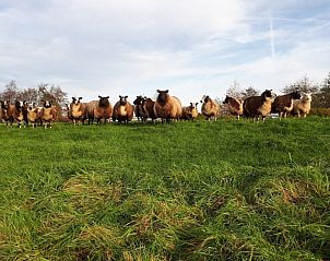 Verblijf 672018 - Vakantiewoning Groene hart - ZH511