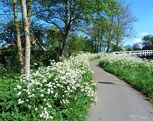Unterkunft 672214 - Ferienhaus Groene hart - ZH473