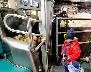 Unterkunft 672214 - Ferienhaus Groene hart - ZH473