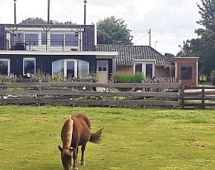 Guest house 672607 - Holiday property Groene hart - Vakantiehuisje in Bodegraven