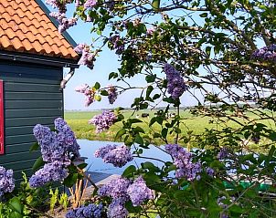 Verblijf 672612 - Vakantiewoning Groene hart - Huisje in Bodegraven