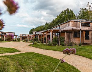 Verblijf 672710 • Vakantiewoning Groene hart • Tiny House 4 