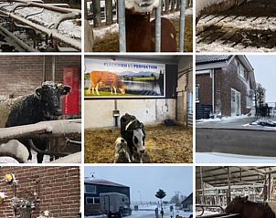 Verblijf 672812 - Vakantiewoning Groene hart - Vakantiehuisje in Leimuiden