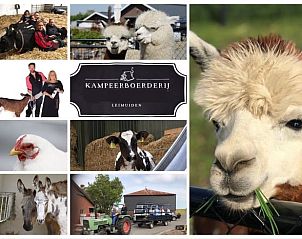 Unterkunft 672813 • Ferienhaus Groene hart • Vakantiehuisje in Leimuiden 