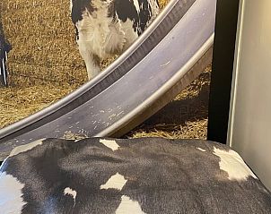 Verblijf 672821 - Vakantiewoning Groene hart - Vakantiehuisje in Leimuiden