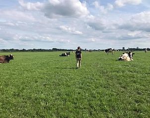 Unterkunft 673008 - Ferienhaus Groene hart - Vakantiehuisje in Leidschendam