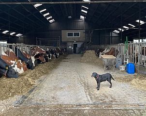Unterkunft 673008 - Ferienhaus Groene hart - Vakantiehuisje in Leidschendam