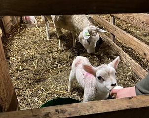 Unterkunft 673008 - Ferienhaus Groene hart - Vakantiehuisje in Leidschendam