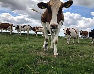 Unterkunft 673008 - Ferienhaus Groene hart - Vakantiehuisje in Leidschendam