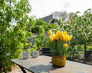 Tulpen op het terras van Vakantiehuisje in Aarlanderveen, Zuid-Holland.