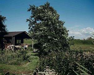 Verblijf 673211 • Tenthuis Groene hart • Tenthuisje met warme privédouche bij de boer 
