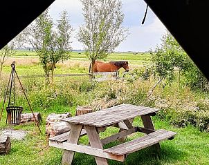 Geniet van het landelijke uitzicht bij Vakantiehuisje in Aarlanderveen, Zuid-Holland. Ontspan aan de picknicktafel te midden van de natuur.