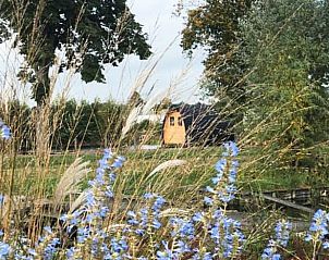 Omgeving van Huisje in Boskoop, vakantiehuis in Boskoop, Zuid-Holland met bloeiende natuur.