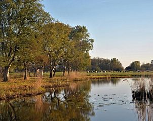 Idyllisch landschap met bomen en water nabij Huisje in Nieuwkoop, een bed and breakfast in het Groene Hart, Zuid-Holland.