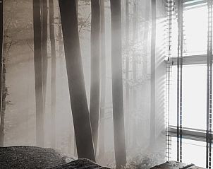 Guest house 673901 - Holiday property Groene hart - Huisje in Rijnsaterwoude