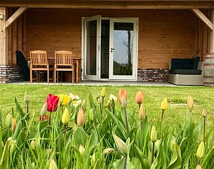 Verblijf 674401 - Vakantiewoning Groene hart - Vakantiehuis in Hazerswoude-Rijndijk