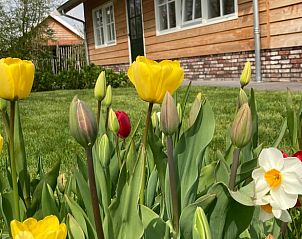 Verblijf 674401 - Vakantiewoning Groene hart - Vakantiehuis in Hazerswoude-Rijndijk