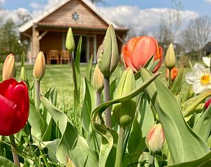 Verblijf 674401 - Vakantiewoning Groene hart - Vakantiehuis in Hazerswoude-Rijndijk