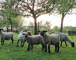 Guest house 674501 - Holiday property Groene hart - Vakantiehuis in Vlist