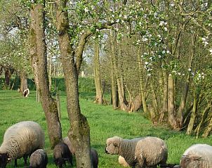 Guest house 674502 - Holiday property Groene hart - Vakantiehuisje in Vlist