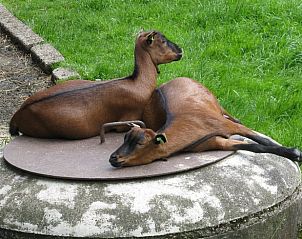 Guest house 674503 - Holiday property Groene hart - Vakantiehuisje in Vlist