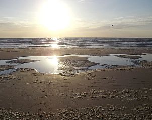 Guest house 6801104 - Apartment Noordzeekust - Appartement Zebra