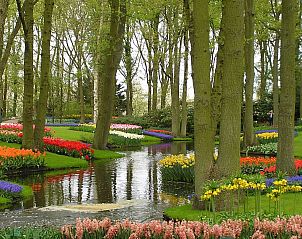 Guest house 6801104 - Apartment Noordzeekust - Appartement Zebra