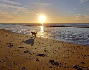 Guest house 6801105 - Apartment Noordzeekust - Appartement Oceania