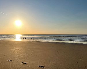 Guest house 6801106 - Holiday property Noordzeekust - Vakantiehuis MarBriliante