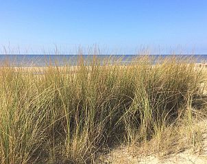 Guest house 6801106 - Holiday property Noordzeekust - Vakantiehuis MarBriliante