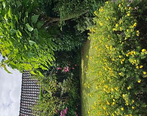 Guest house 6801108 - Holiday property Noordzeekust - Vakantiehuis mit privatem Garten und Terrasse