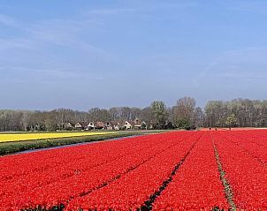 Guest house 6801109 - Holiday property Noordzeekust - Vakantiehuis Plevier Comfort