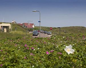 Guest house 6801112 - Holiday property Noordzeekust - Vakantiehuis f�r 4 Personen ca. 70 m&sup2; in Noordwijk aan