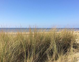 Guest house 6801149 - Holiday property Noordzeekust - Vakantiehuis SunnyLogde