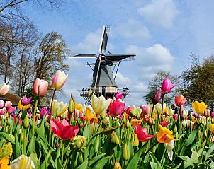 Guest house 6801149 - Holiday property Noordzeekust - Vakantiehuis SunnyLogde