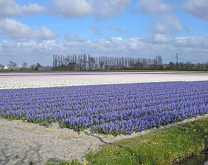 Guest house 6801149 - Holiday property Noordzeekust - Vakantiehuis SunnyLogde