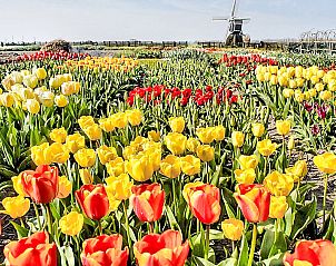 Unterkunft 680130 - Ferienhaus Noordzeekust - Vakantiehuis Stern Comfort