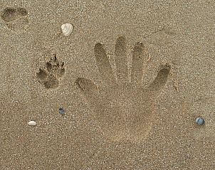 Guest house 680169 - Apartment Noordzeekust - Appartement Jazz, Noordwijk aan Zee