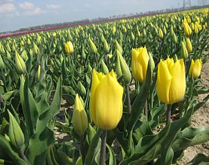 Guest house 680191 - Holiday property Noordzeekust - Vakantiehuis BeachPlace