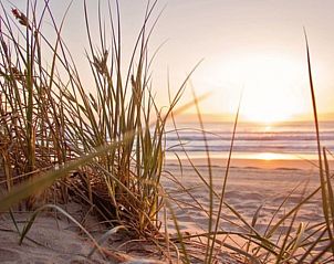 Verblijf 680214 - Vakantiewoning Noordzeekust - Vakantiehuis Zonneschijn